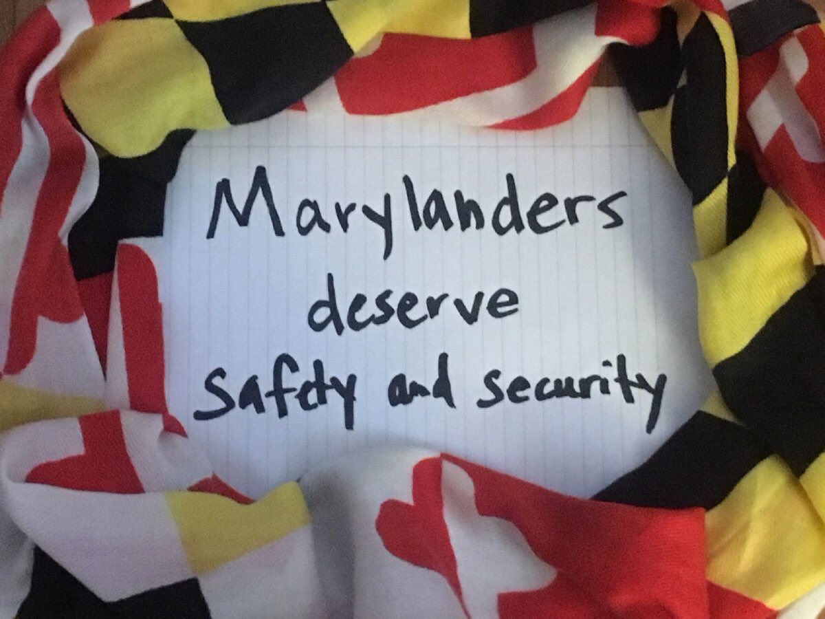 lpalbanyedgeH20's tweet photo. .KathleenDumais1 Pass the #ProtectMD Survivors Bill (HB1646) without "third party transfer." When a person is convicted of domestic abuse, it's not enough to give the gun to the abuser's buddy. Maryland @MomsDemand members want a  safer MD. #MDGA18 https://t.co/JKZtC9w5EV