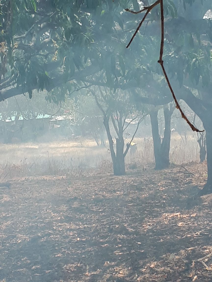 Personal de la Estación de Bomberos de Las Tablas, @bomberolosanto atienden IMAVE, en Santo Domingo de Las Tablas