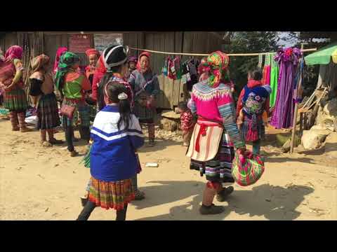 trip_videos's tweet photo. New trip video!
#Vietnam trip - 長さ: 11:46。
https://t.co/kIWE6aPXKA

#VietnamTravel #VietnamTrip #trip #travel https://t.co/ifgYxdskXh