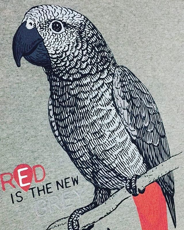 uktshirtprint's tweet photo. Loads of designs on jumpers and hoodies flying out of the factory already this week, including this lovey print from #birdlifeinternational 🦆🦆🦆 #Dtg designs like this are printed using the latest digital technology to achieve super-fine levels of detail 🖨️ #birdlife #tee… https://t.co/gkL55CxleY
