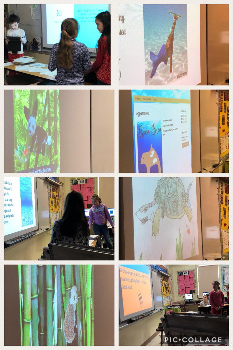 Animal mash up presentations...ask about them👍😍 #gvfeeling # fourthgradefabulous