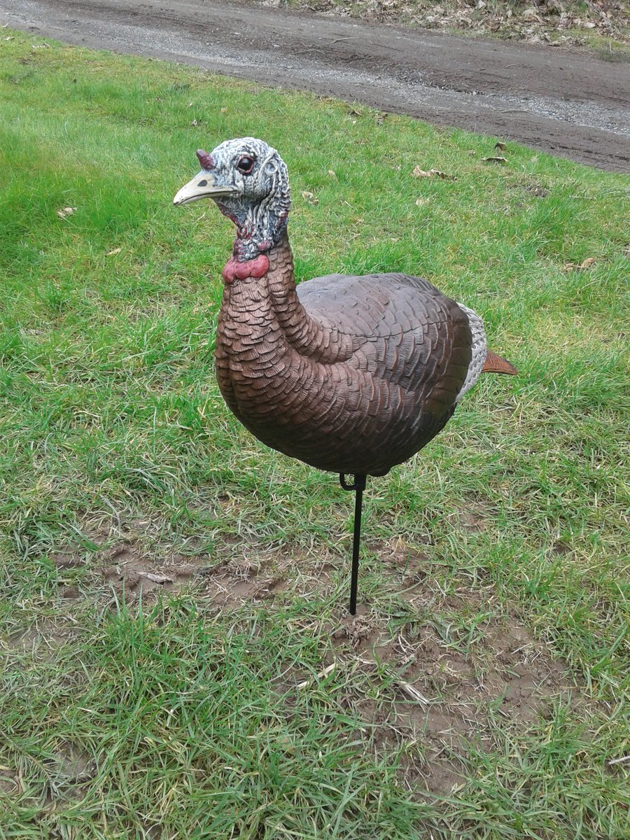 wallylair's tweet photo. Love it when you come home and there's a box on your porch!!#cabelas #thunderchic #turkeyhunting https://t.co/RROwXfmRMB
