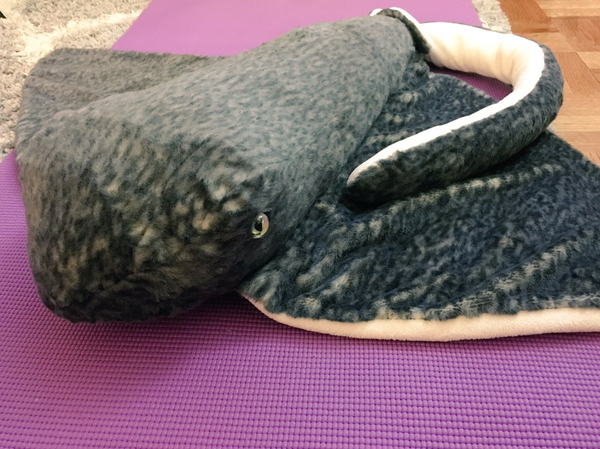 _crypto_ray's tweet photo. #yoga to clear mind &amp; think +++ https://t.co/sCHlOwzXwU