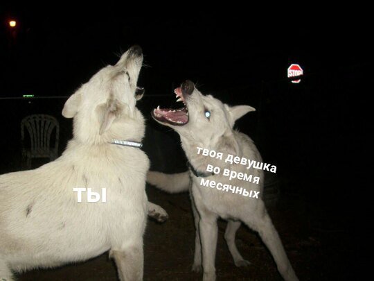 💞mai💞 (@maiii_mur) on Twitter photo 