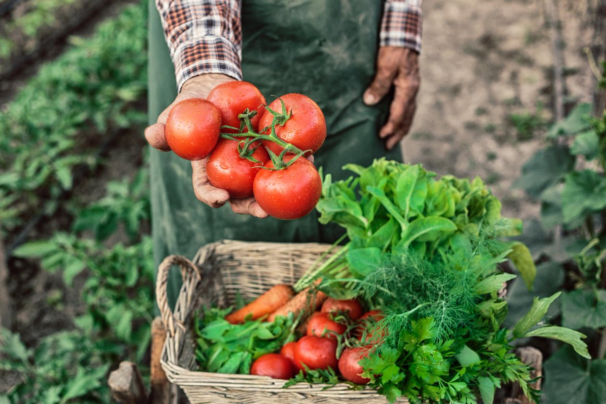 5 ways the organic movement could make food more affordable bit.ly/2FxF01m