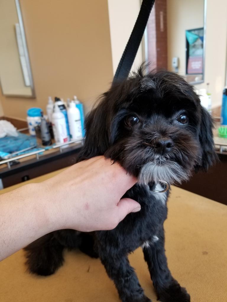 Store #2249 #longisland #northeastgrooming
 Styist: Jeanette Perez 
(extreme makeover)