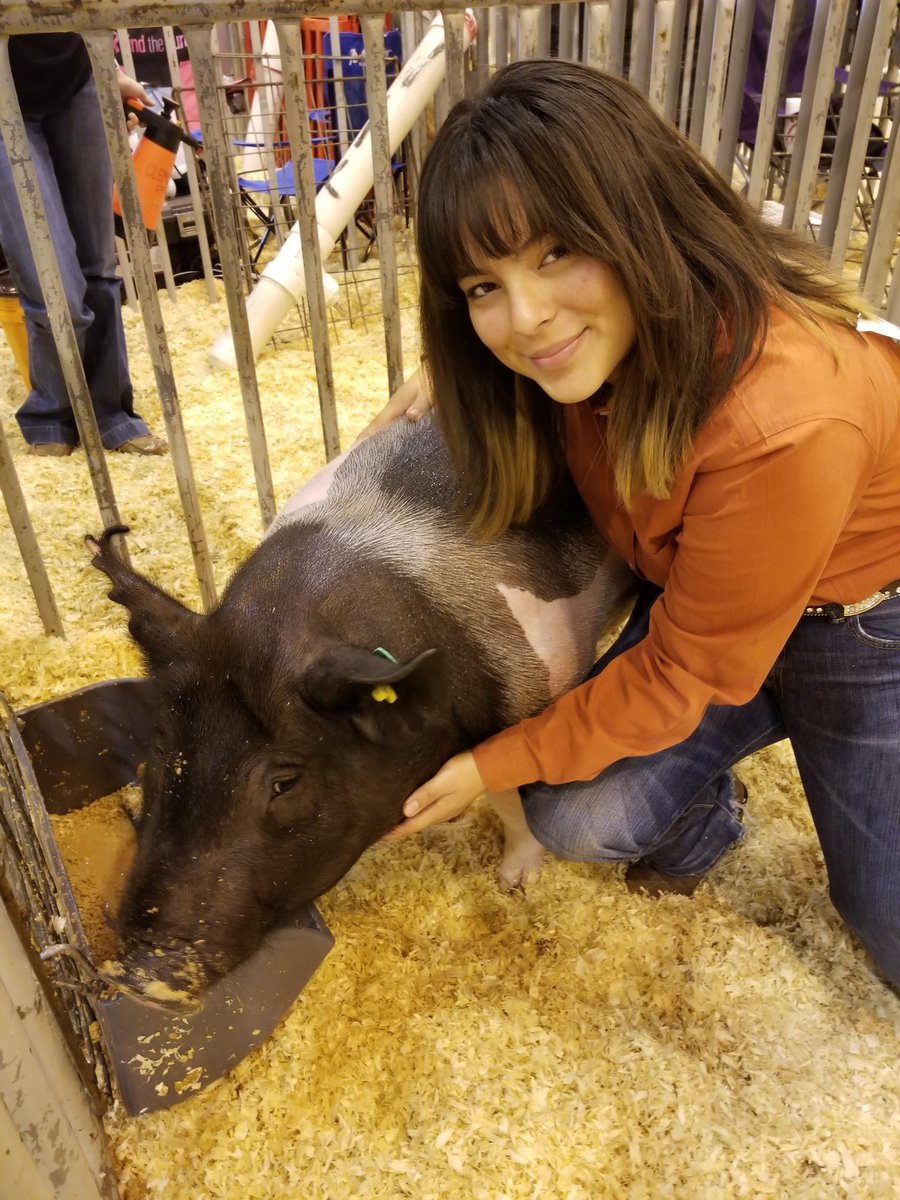 ClementsFFA's tweet image. Last but not least... Allison showing her Dark Cross at #rodeohouston. @CHS_Rangers