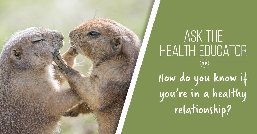 SH101atPhillips's tweet photo. How do you know if you're in a healthy relationship? Hint: Things don't always have to be picture-perfect. https://t.co/ZWLs6rBQFw https://t.co/53tpg2fhbW