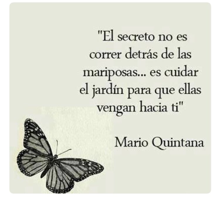 Irbues97's tweet image. 