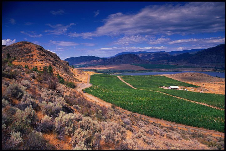 The 2018 WineAlign National Wine Awards is open for entries. #NWAC18 is returning to Penticton, British Columbia in June with 20 judges from across Canada and two internationals from London, England and Shanghai, China. winealign.com/awards/2018/02…
