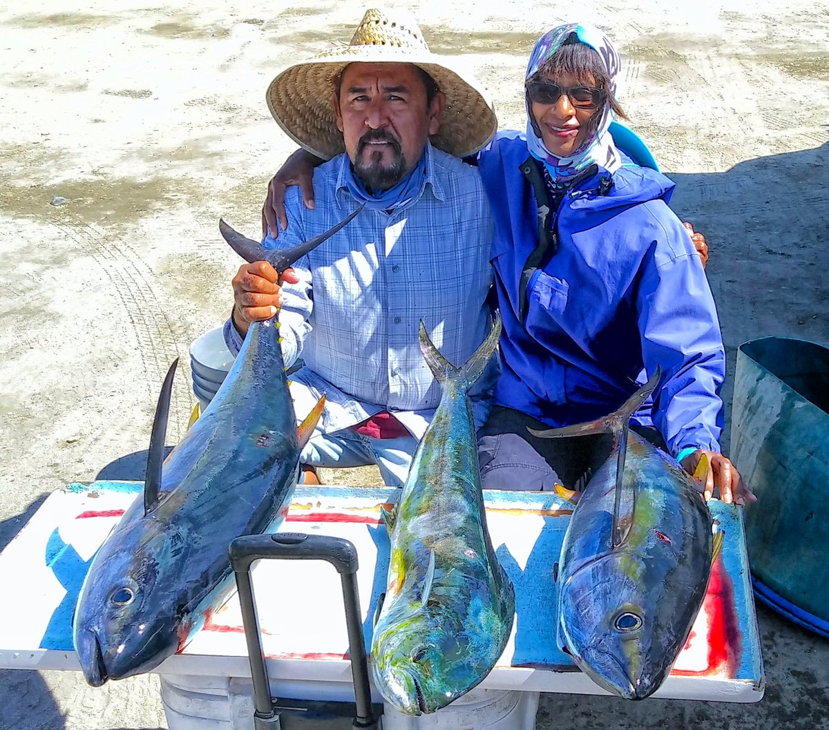 GringoGazette_'s tweet photo. *FISH KILLER OF THE WEEK* Vera Boyd caught two nice yellowfin tuna and a dorado recently while fishing with Captain Jorge of the Tailhunter Fleet. Click here for our full #Cabo fishing report: https://t.co/Zxr2pbtFo8 https://t.co/WGzqSwR3Uc