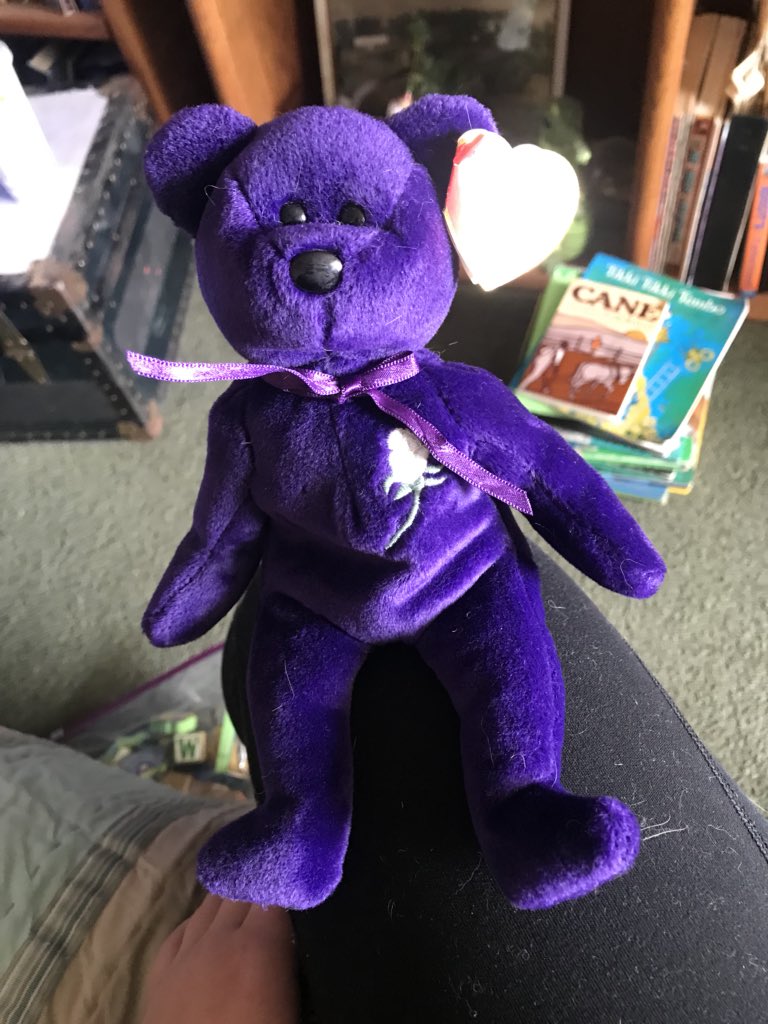 abbyohea's tweet photo. Am I rich yet? #PrincessDiana #BeanieBaby https://t.co/7LwnvqDtGG