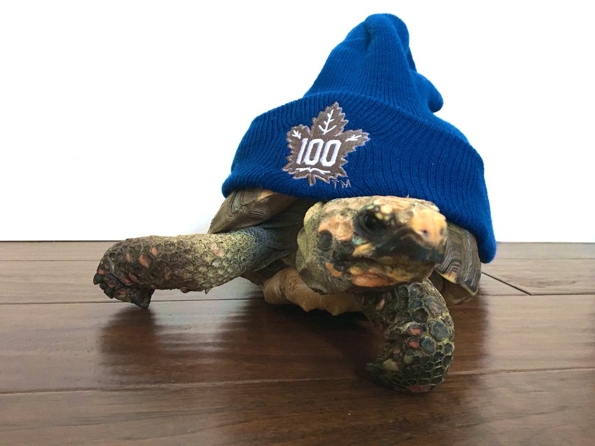 Looking for some last minute inspiration to enter the #PetSmartSuperFan contest? Take a look at these winners! You have until March 16 to show me and <a href="/petsmart/">PetSmart</a> why your pet is the ultimate <a href="/MapleLeafs/">Toronto Maple Leafs</a> fan. Get your Leafs gear ready and visit:

nhl.com/mapleleafs/fan…
