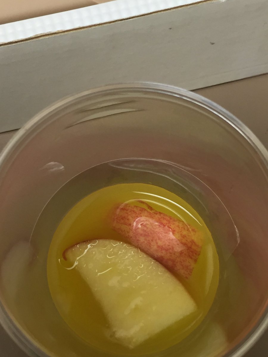 KlassenCrystal's tweet image. Day 1 of science projects @vicmo7 @fransaskois @Kellibok #awesomescience #sunwestPeBL