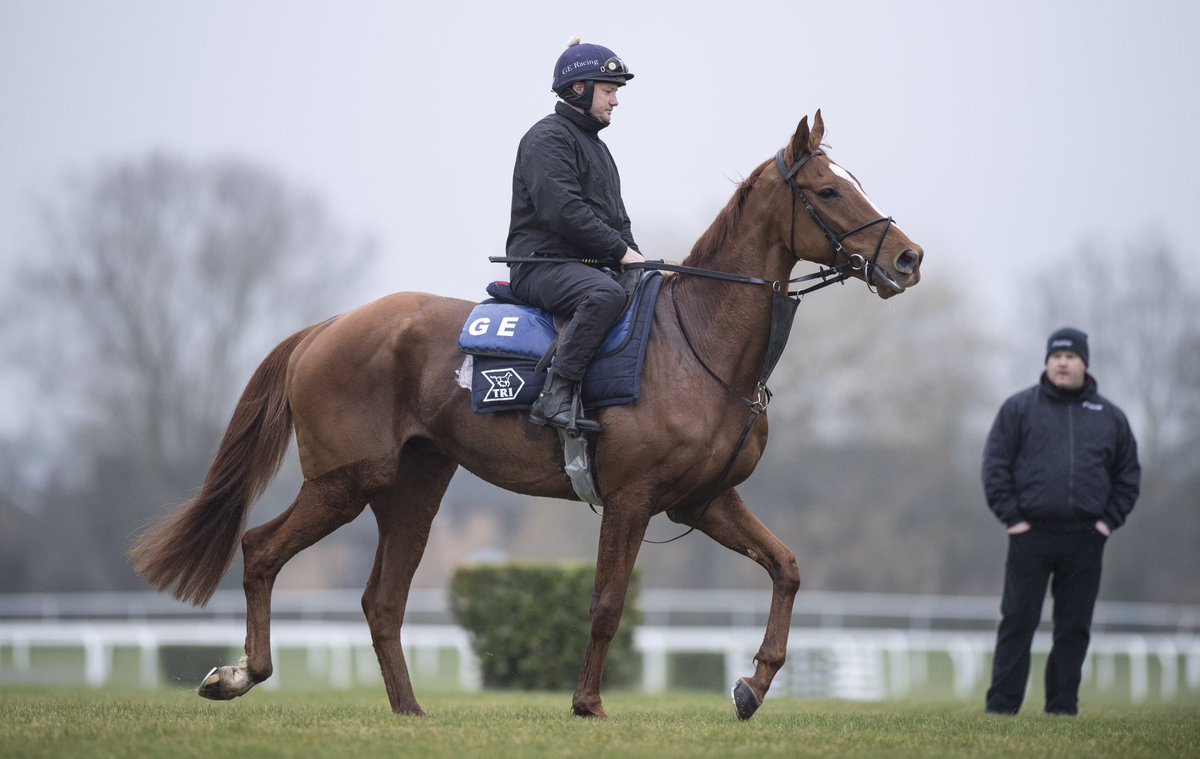 NavanRacecourse's tweet image. #CheltenhamEveCompetiton! 🏇🇮🇪 To win two general admissions for our racemeeting this Sunday, simply RT this post &amp;amp; tell us who is the two time Navan winner in the picture. Comment below the name of the horse along with the words #NavanForm to be in with a chance of winning!