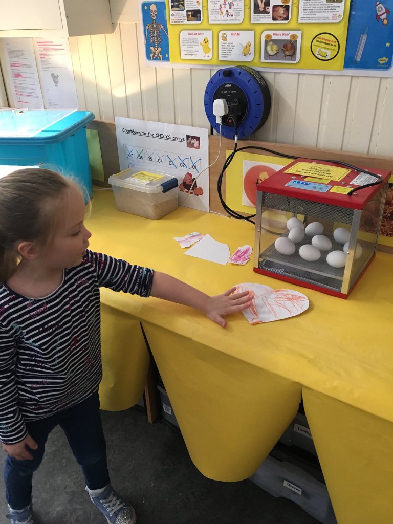 Elmvaleprimary's tweet photo. #Elmvale We have helped our new guests settle into the nursery by making sure they are comfortable in their incubator, discussing what the chicks will eat when they hatch and giving them some welcoming gifts. #careforcreatures #enthusiastic learning. https://t.co/G7AYEsKmwi