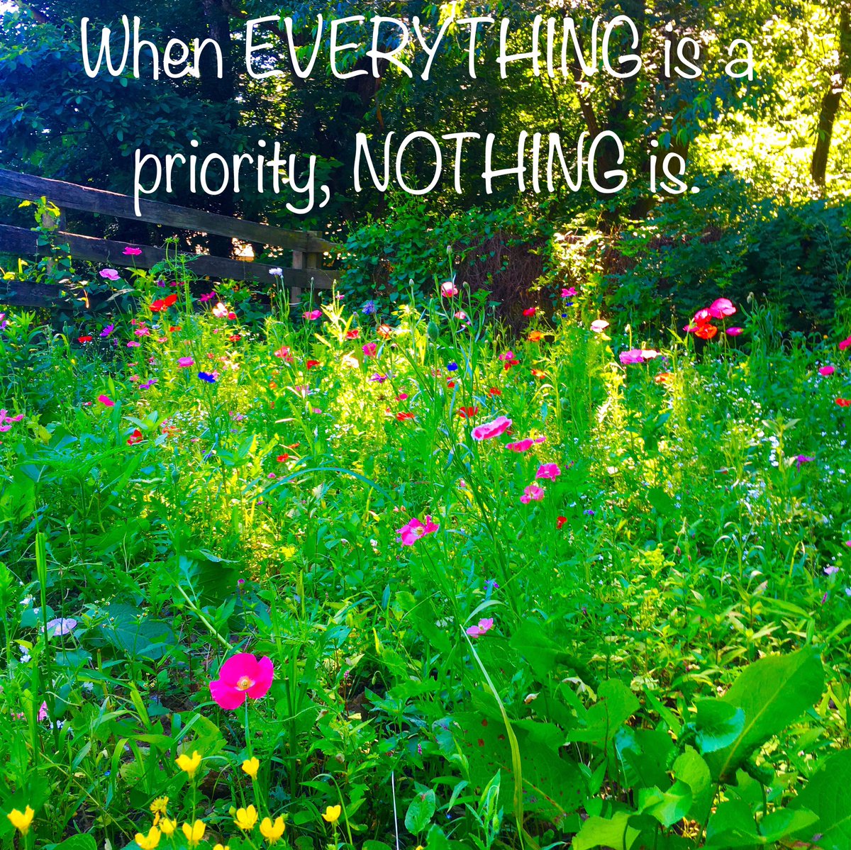 When everything is a priority, nothing is. Take time to recognize your priorities &amp; make them the focus of your activities &amp; efforts every day. #priorities #icanhelp #goals #progressnotperfection #focus #virtualorganizer