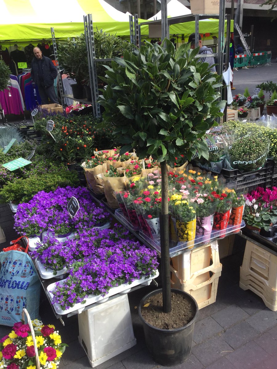 TuesdayMarket is on tomorrow. New foods to try if you love Chinese food plus our usual traders here for a chat while you browse. Bargains galore. See you tomorrow <a href="/BR6Life/">BR6life</a> <a href="/CannonCars/">Cannon Cars 020 8777 8888 - App, Web, Phone</a> <a href="/OrpingtonEye/">OrpingtonEye</a>