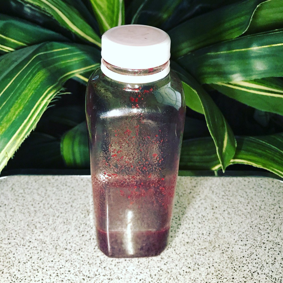 StacyeBranche's tweet photo. I switched up my juice a bit today #spinach #kale #beet #ginger #apple #stacyes30dayjuicefast #juicing #juicingforhealth #greenjuice #greenfast #fasting #detox #juicecleanse #cleanse #juicefast #cucumber #celery #vegan https://t.co/F1pzRYoZOj