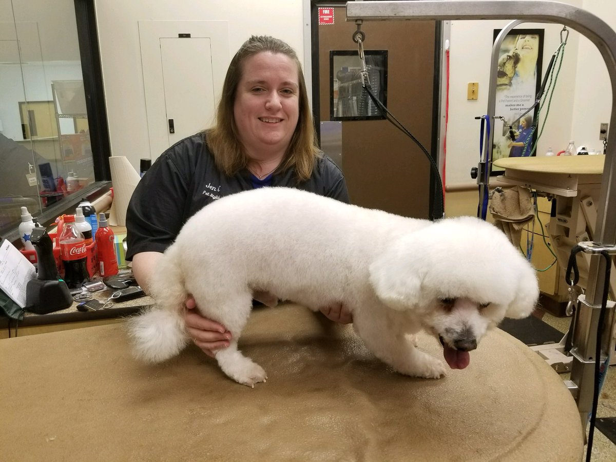 #northeastgrooming #enj #0576 stylist: Jen category: extreme makeover