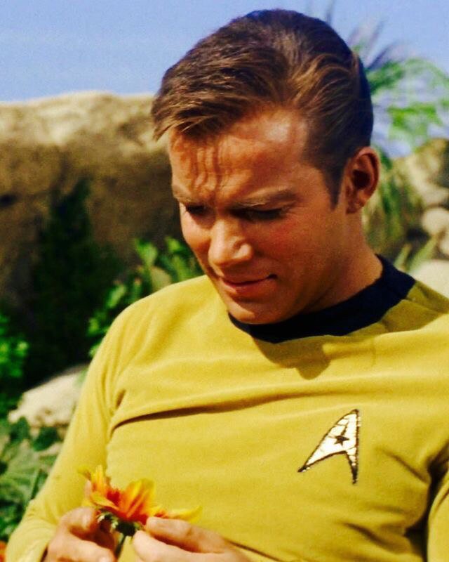 джеймс тиберий кирк. джеймс кирк. джеймс ти кирк стартрек. уильям шетнер star trek. уильям шетнер звездный путь.
