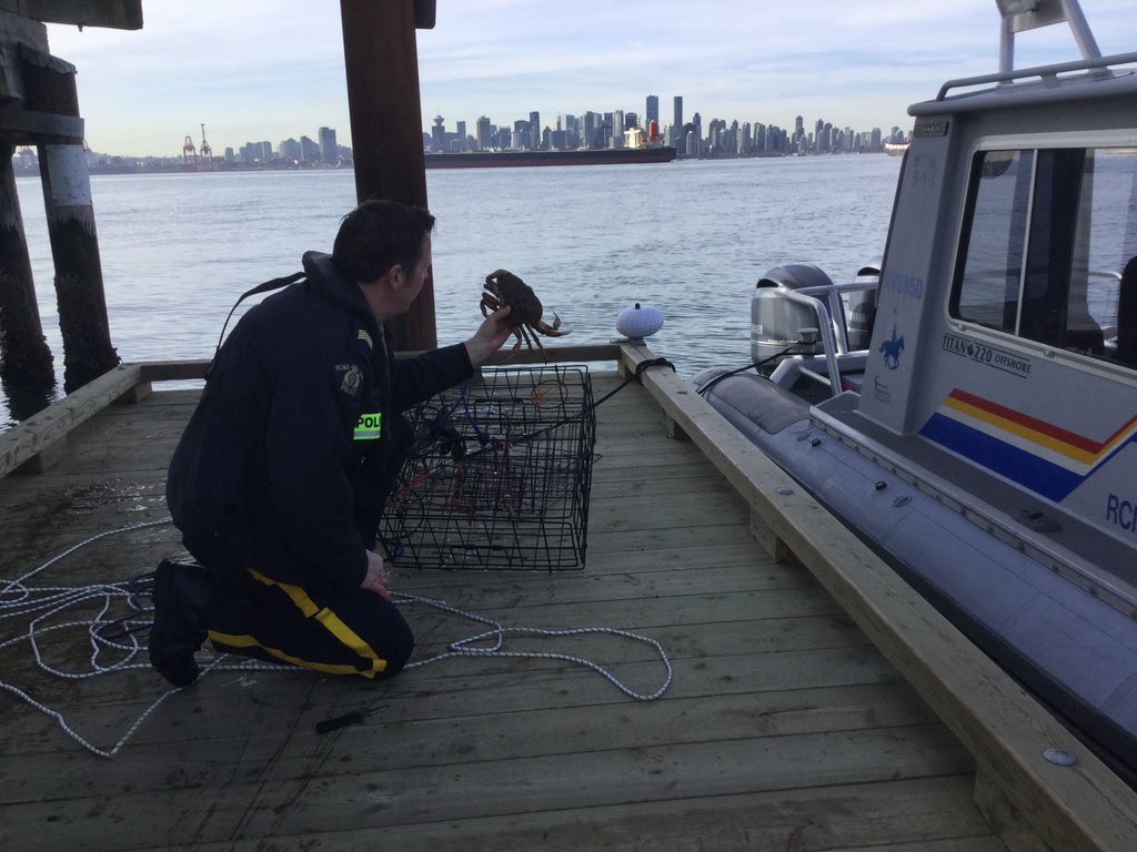 North Vancouver RCMP tweet media
