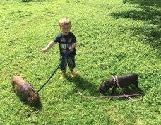 Small, family run, farm animal orchard devoted entirely to micro and miniature animals. 
#Kent #WhatsonKent #WTDWTK
whattodowiththekids.co.uk/places-to-visi…