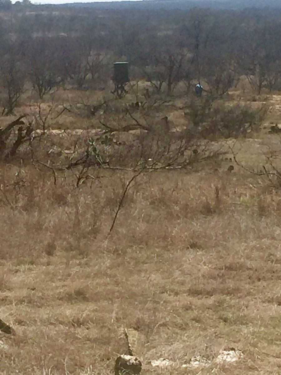 MrsBGray1's tweet photo. The view from my new deer stand my sweet hubby built me.  Corn feeder straight ahead and protein to the left. #gettingreadyfornextseason https://t.co/2f1gGewjry