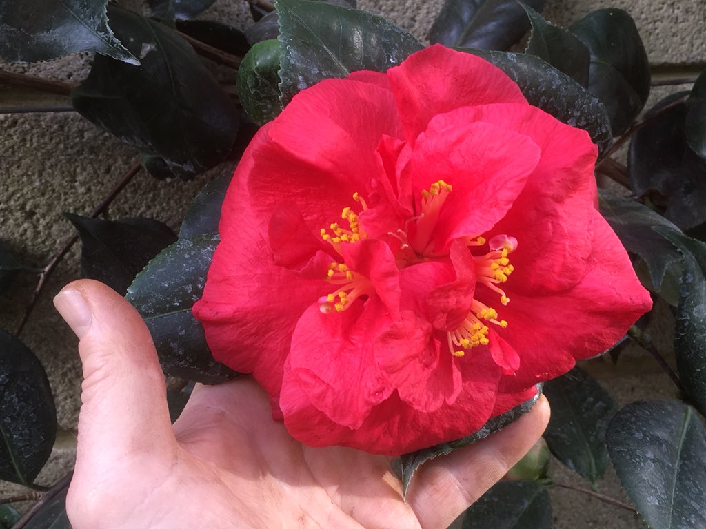 Harvey Stephens tweet media