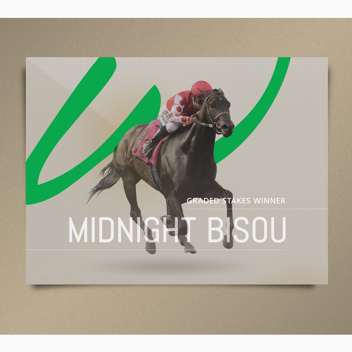 studio34pro's tweet photo. Be sure to check out the #posters we designed for @WoodfordTbreds consignment at @OBSSales March! #Dearest #HanSense #MidnightBisou #MrMisunderstood #StephBeingSteph #Stopchargingmaria #SwingAndSway #Wilbo / #Studio34 #GraphicDesign #PosterDesign #thoroughbred https://t.co/yFSYLi76nS