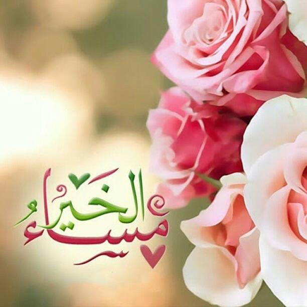 Yousri Abdelfatah (@yousriabdelfat2) on Twitter photo 