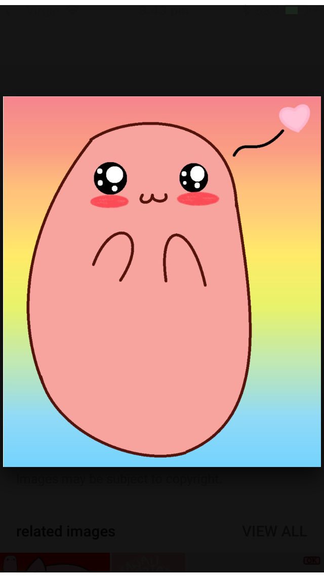 maceymae tweet media