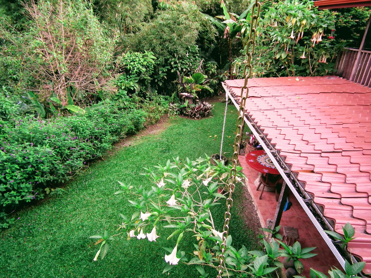 “We started at the exact perfect time when ecotourism was starting – it was lucky! Plus, I love birds and birding &amp; I begin to guide and did that for 12 years.” 10000birds.com/snow-in-costa-…

<a href="/RanchoNatural/">Rancho Naturalista</a> #CostaRicaBirding #birdwatchingRepublic #CostaRicaBirdChallenge #futuropa #ict