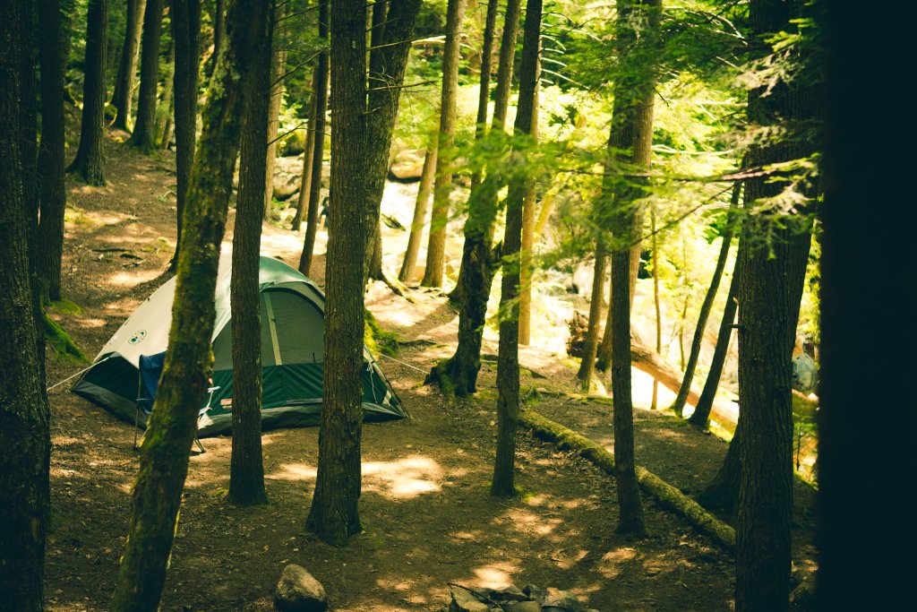 MariaRoth's tweet photo. Who's going camping this spring break? I'm not! "My Worst Camping Experience: Camping Downstream with Truffles &amp; My New Shoes" #springbreak #childhoodmemories #camping #whyIhatecamping #blog #humor https://t.co/teQPLSmMku https://t.co/KYlmb1gJQG