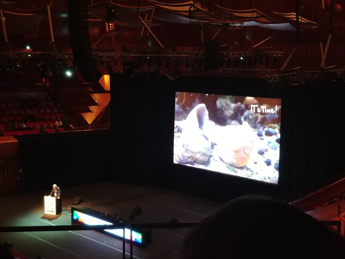 nnardi's tweet photo. Insightful closing #kickoff_eng2018 how does a hermit crab deal with change? In life we can't be absolutely safe or have a perfect transition. If we hesitate to make a change we could get stuck. Lesson learned: know your fear and face it head on! @paolopandozy @EngineeringSpa https://t.co/gG0EzWpEIt