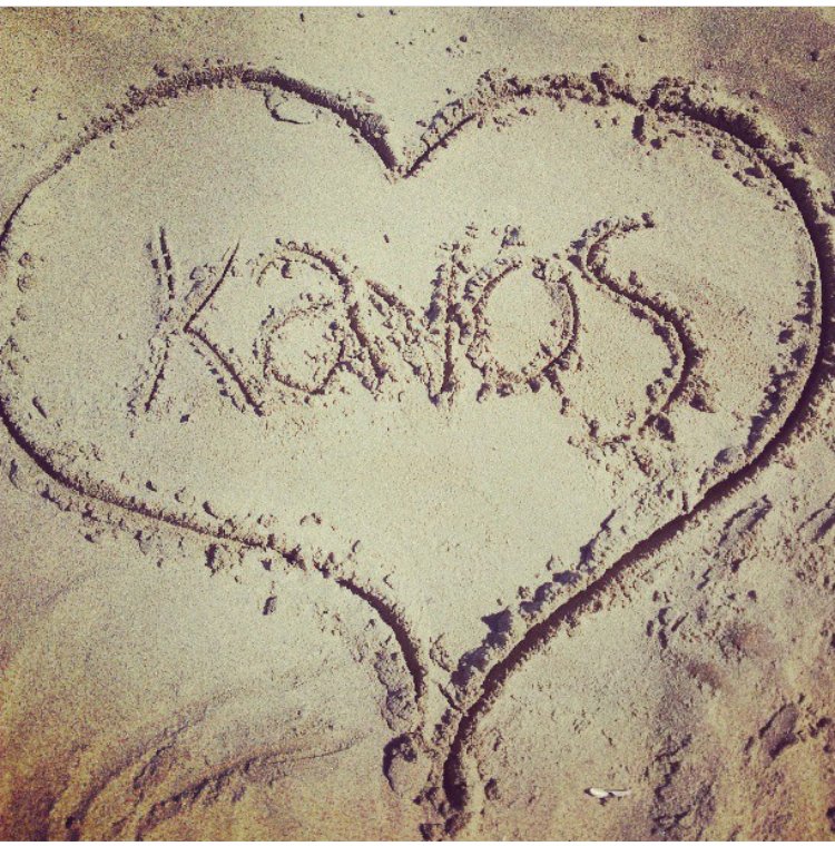 Jodie Parsons tweet media