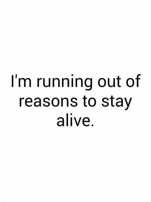 DylanLeoDavis1's tweet photo. https://t.co/MY9IE2cf7B