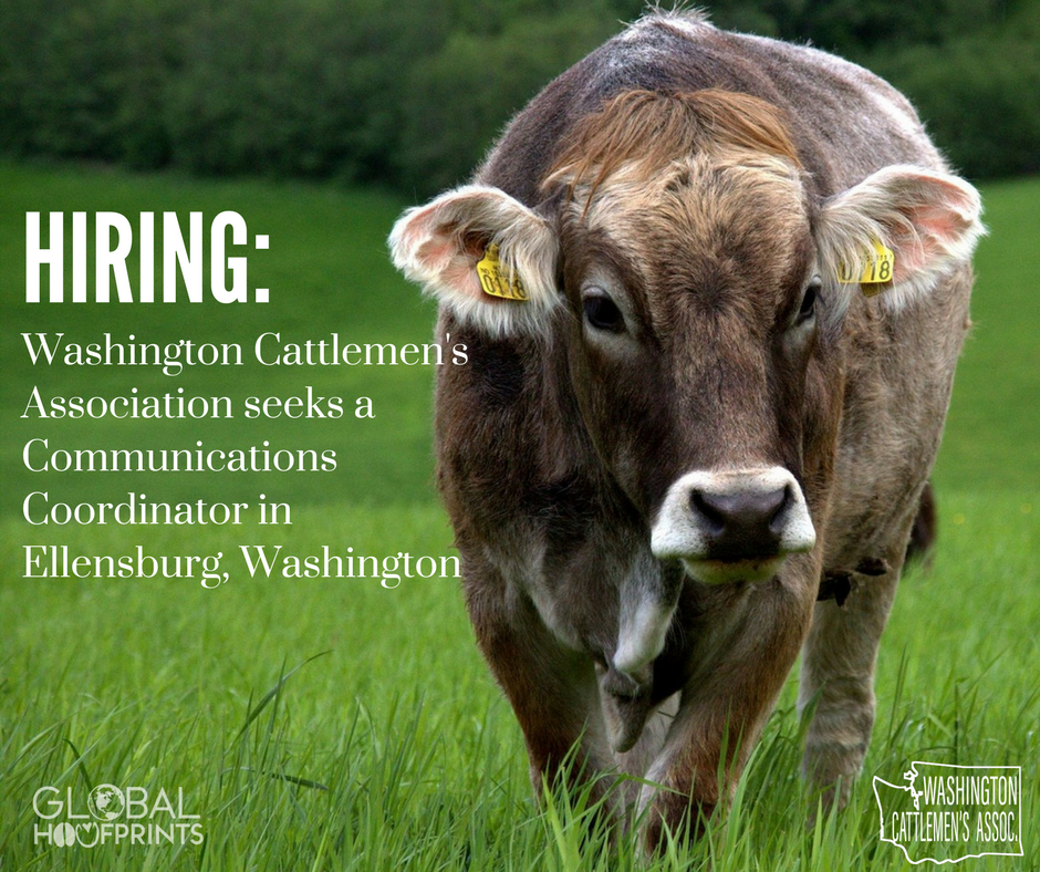 CharmayneRoams's tweet photo. #Hiring: @wacattle is seeking a Communications Coordinator to join their team in Ellensburg, Washington. #AgComm #AgJobs @AgGradNation 

Learn more and apply: https://t.co/Nd6IHP1zw9. https://t.co/Whax8gBQ89