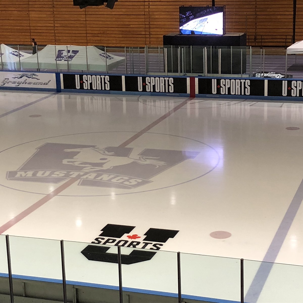 USPORTS_Hockey's tweet photo. It's quiet now, but it's only three days until we drop the puck for the @USPORTSca Women's Hockey Championship in #LdnOnt https://t.co/iyzpK2GbCB