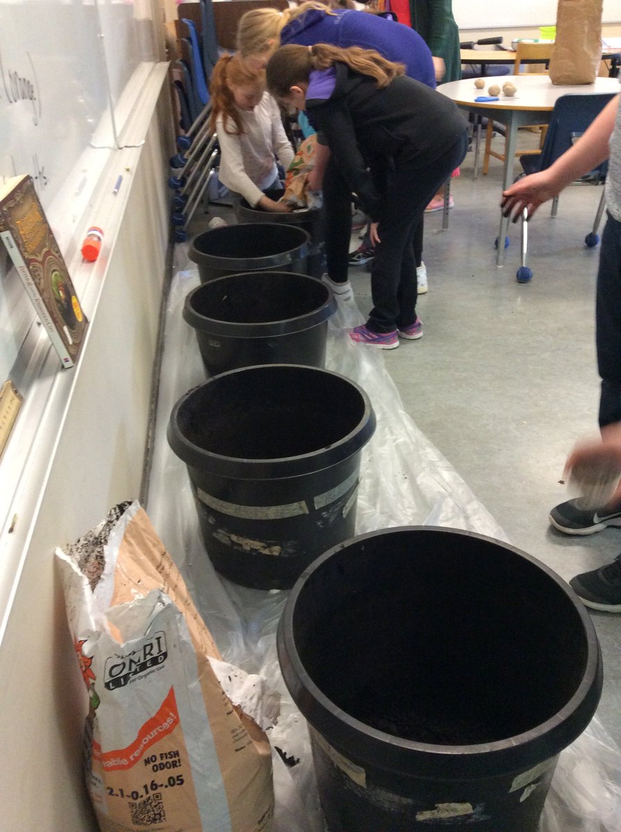 Mr_Lister's tweet photo. Grade 5/6 students planting potatoes, and eventually growing food, for Ruth and Naomi's courtesy of @bcaitc #SpudsInTubs program. #sd33learn #bclearns #Chilliwack https://t.co/NSVF9yNGOB https://t.co/sWRdqDQUm7