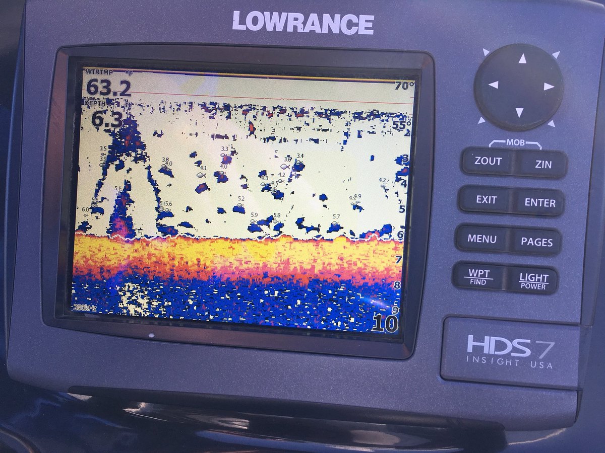 gallaghermike's tweet photo. None of these little guys are interested today. All day the graph had more numbers than a spreadsheet. #chasing90 #texasswing #bassfishing https://t.co/yS3Kifiz6O