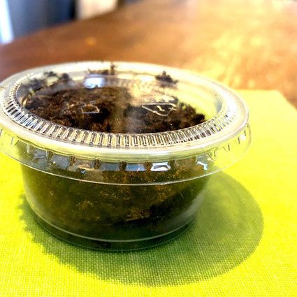 4Ento FOOD tweet media