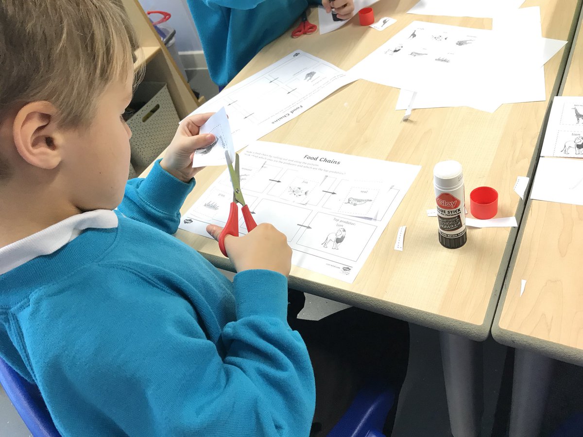 CastleWood_'s tweet photo. In science today, we investigated food chains. We practised using flow charts in a different context. #DaisyClass https://t.co/i5eXdHczph