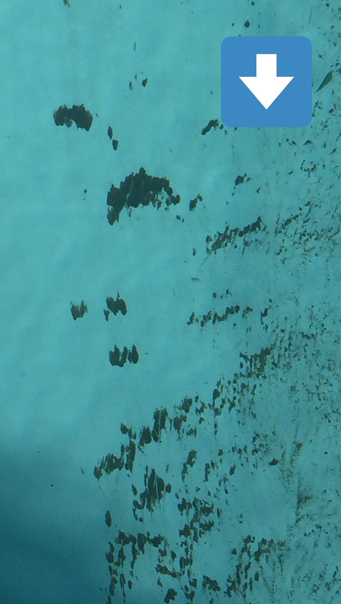 gonzaloveiga's tweet image. Always impressed by #bedforms developed on #mud at the bottom of the pool. Flow from top to bottom of the picture. And yes, I have to clean it but it goes into suspension as soon as the kids jump in.