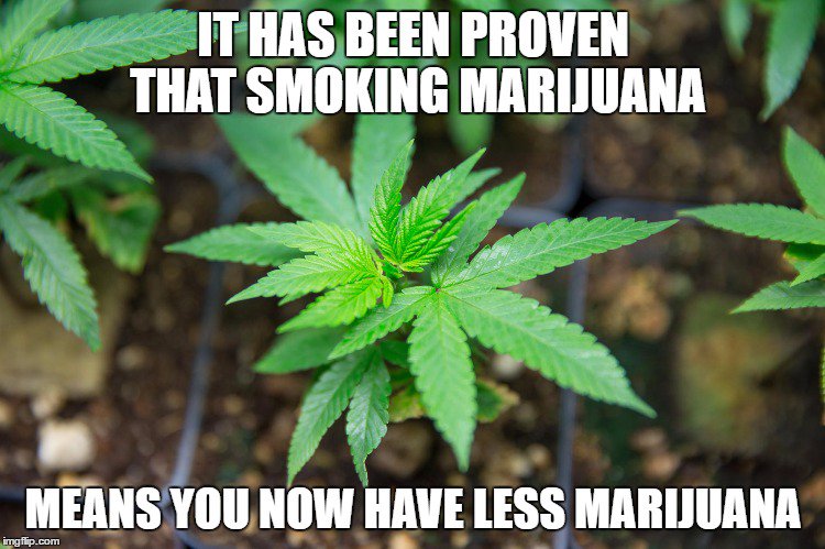 ArmyOfPotheads's tweet image. A #Monday #Mathmatical #Mondaze #Truth, #Stonerfam! 

Hope everyone had a wonderful weekend and a great start to the week.