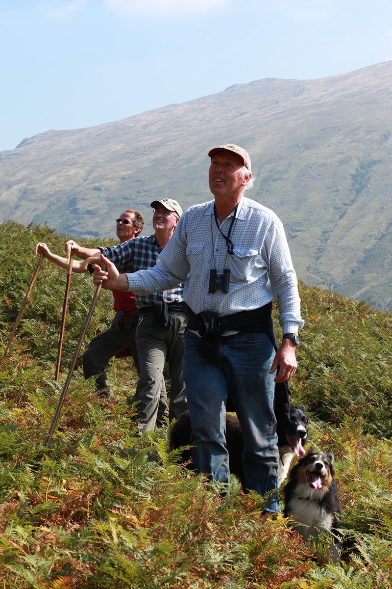 Out on the fell. Read about Daren Bartlett's forthcoming documentary <a href="/DogAndStick/">Dog&Stick</a> here adogandastick-documentary.com #Cumbria #herdwick #shepherds #indiefilm #LakeDistrict