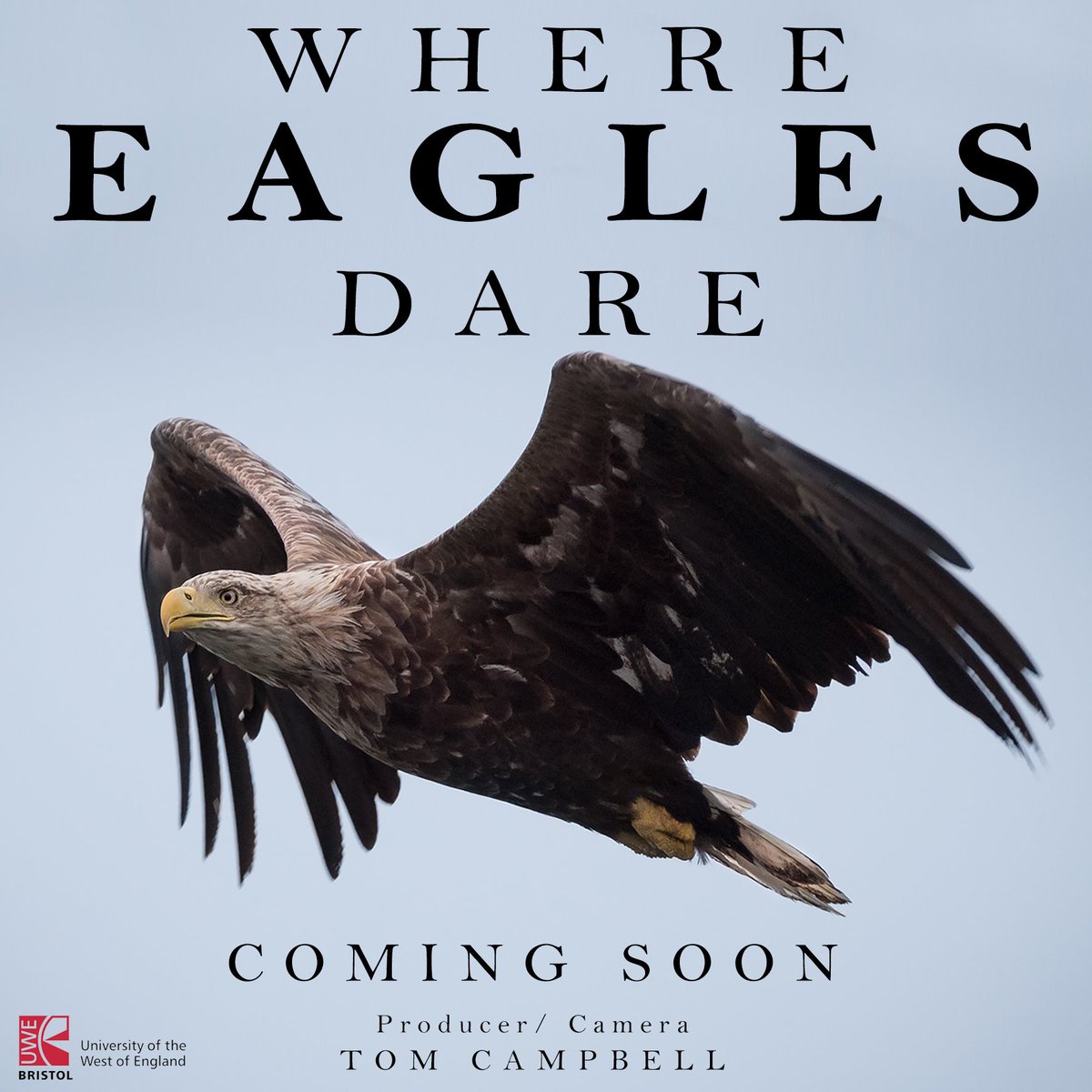Campbell_Films's tweet photo. I NEED YOUR HELP! I'm producing a film for my Masters degree in wildlife filmmaking on the benefits and conflicts of living with White-tailed Sea Eagles on Mull. Please help me reach my crowdfunding goal and share :) Thank you!
https://t.co/OkByAPNMnp https://t.co/PI0fchHqYs