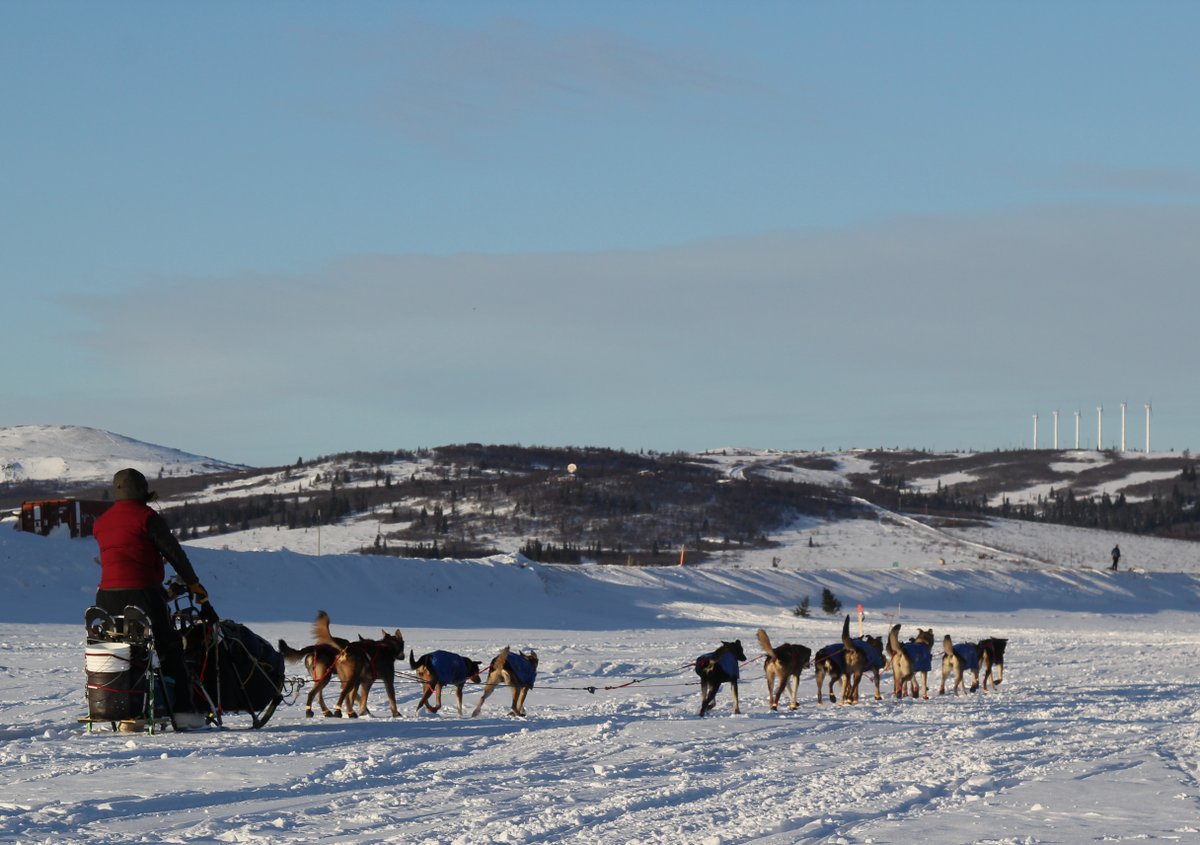 AlaskaNewsBit's tweet photo. Petit first out of Unalakleet with Ulsom and Seavey behind: https://t.co/kuzKgQLKnX, https://t.co/FH9NaGBgTu, https://t.co/AYKUjXtUxE https://t.co/7C96r54HQI