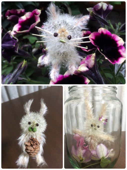 タンポポの綿毛でできた動物たち ふわふわドライフラワーがメルヘンチック おたくま経済新聞