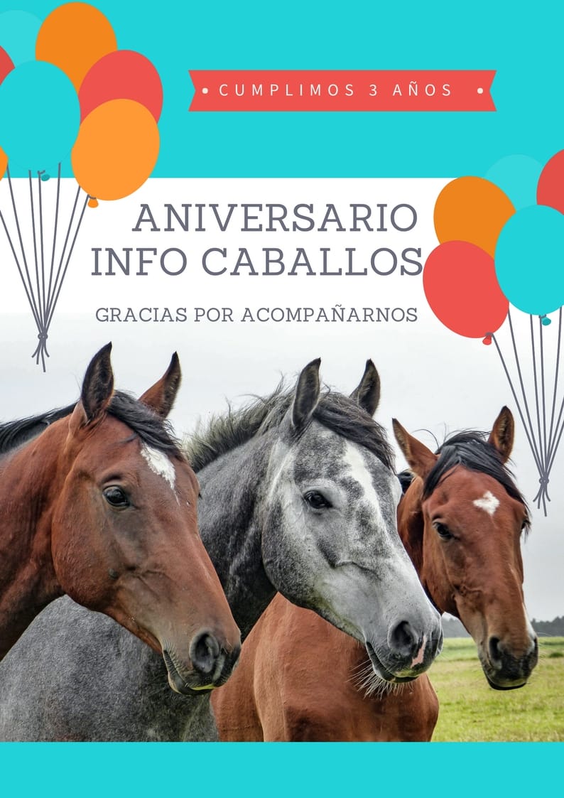 info_caballos's tweet photo. https://t.co/FZTdjKXEqP